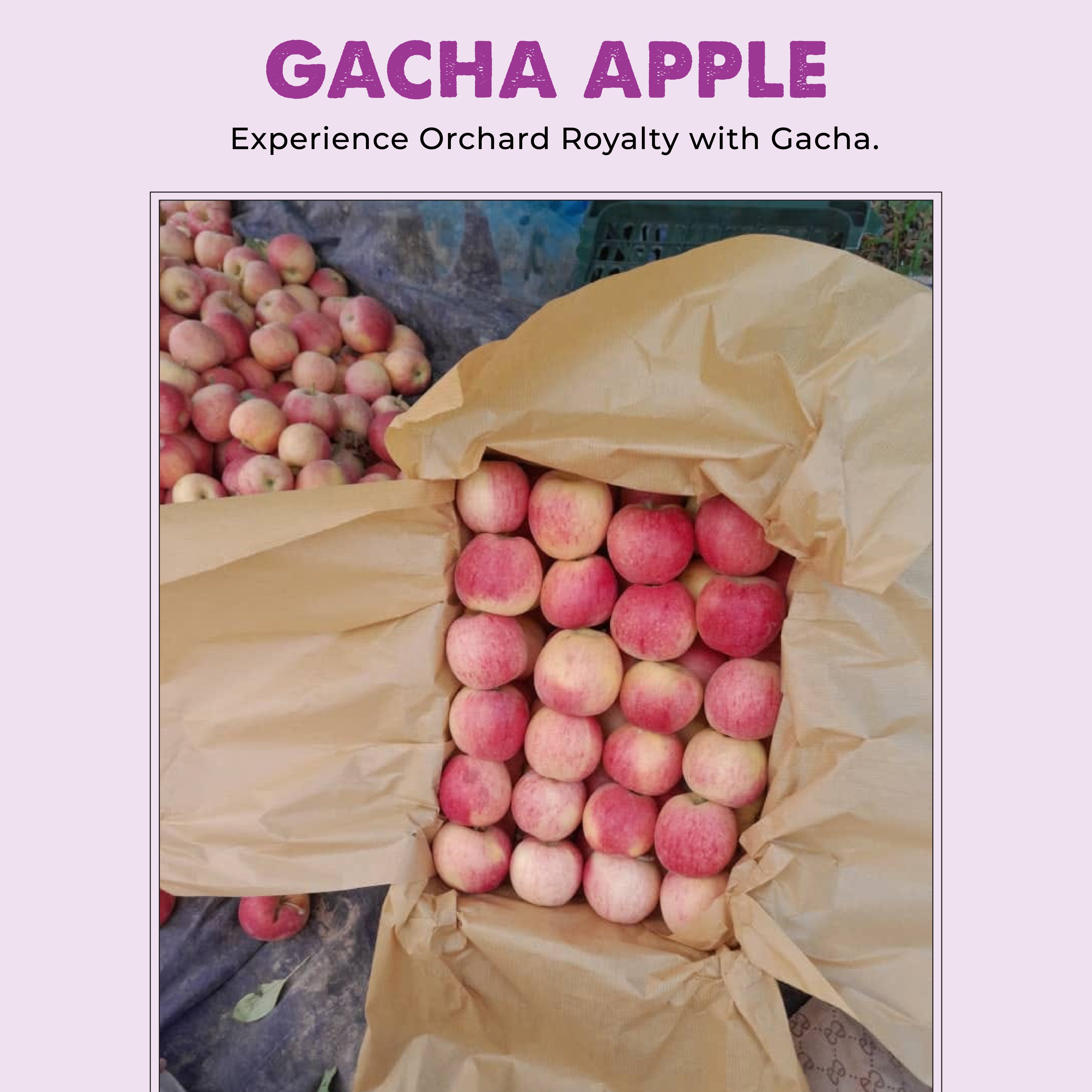 Premium Gacha Apple for Gifting گچا سیب