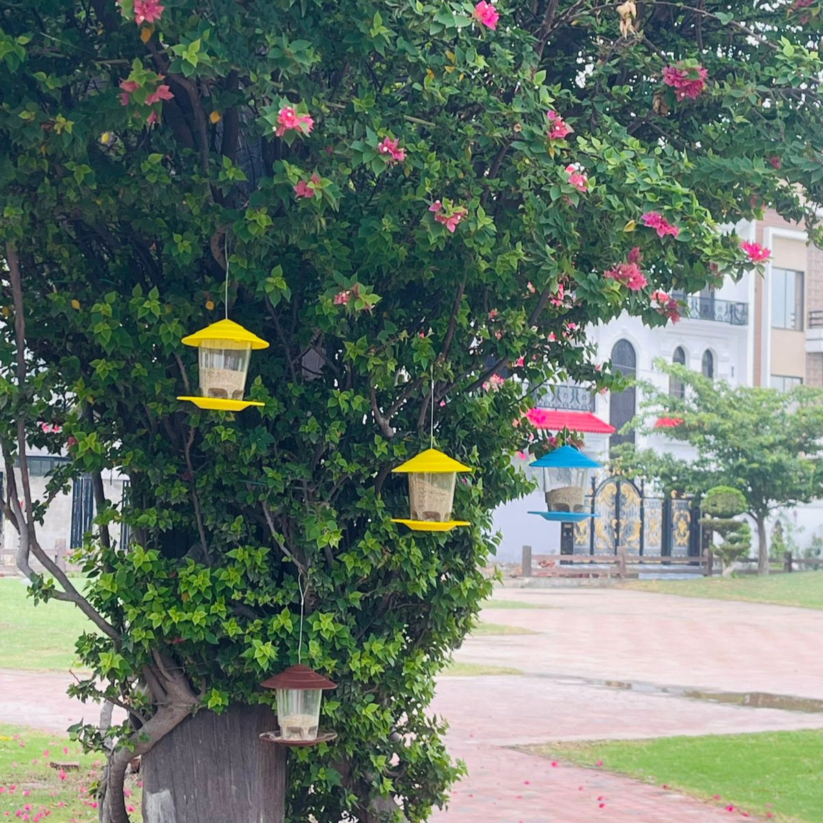 Bird Hanging Feeder (Your Sadqa e Jaaria )